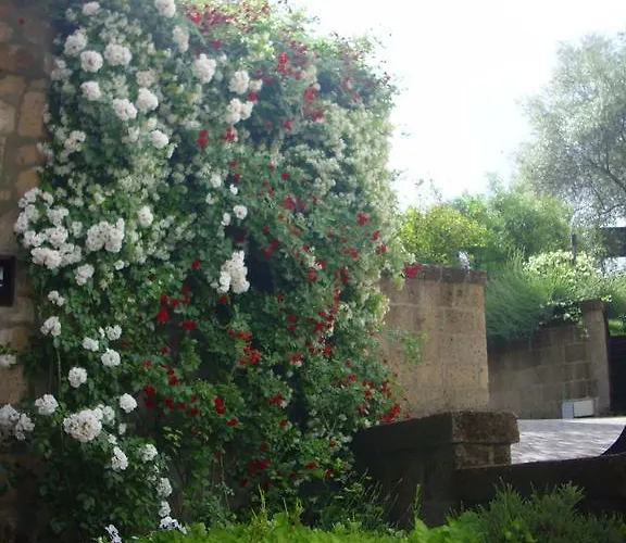 Chiara E Benedetta Degli Ulivi فندق مبيت وإفطار 4*